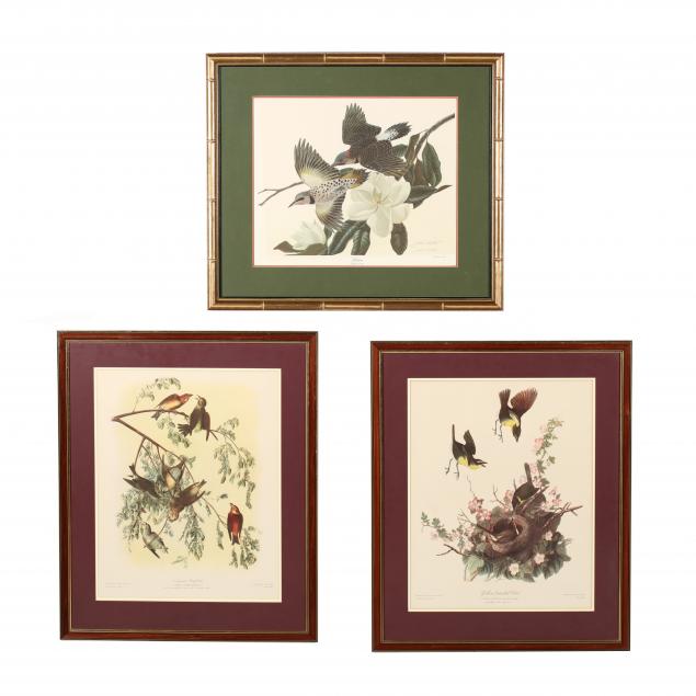 three-framed-ornithological-prints