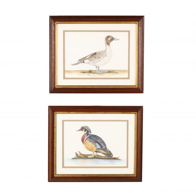 a-pair-of-waterfowl-watercolors-by-gail-r-mullaney
