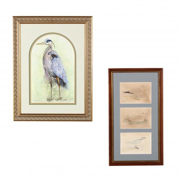 group-of-framed-ornithological-prints