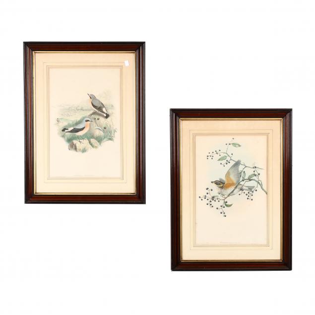 j-gould-h-c-richter-19th-century-two-ornithological-prints