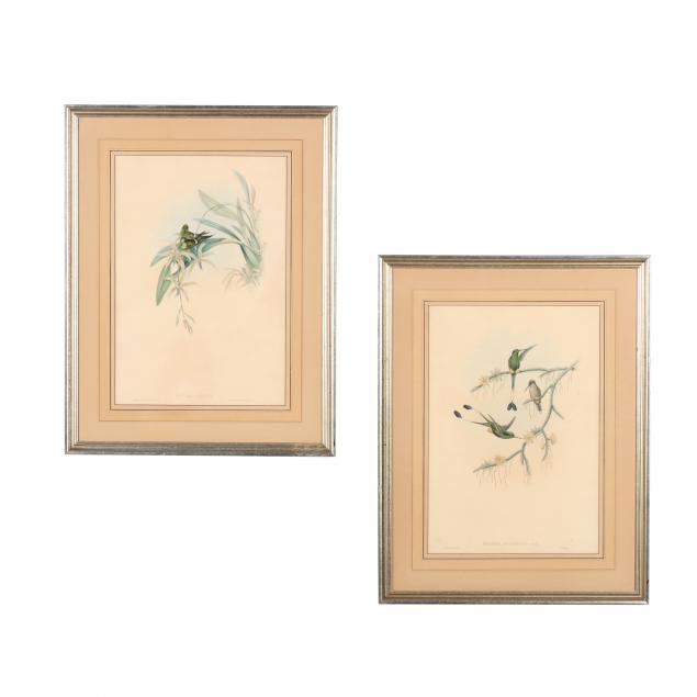 two-gould-and-richter-hummingbird-lithographs