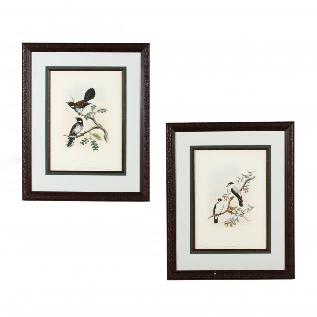 two-lithographs-from-john-gould-s-i-the-birds-of-new-guinea-and-adjacent-islands-i