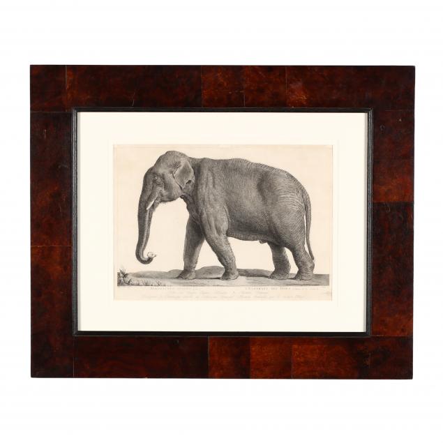 after-nicolas-marechal-french-1736-1803-i-l-elephant-des-indes-i