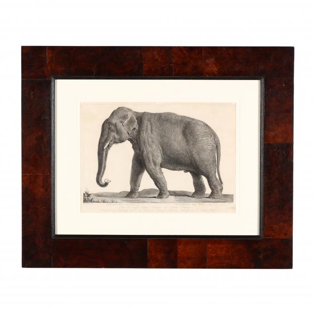 after-nicolas-marechal-french-1736-1803-i-l-elephant-des-indes-i