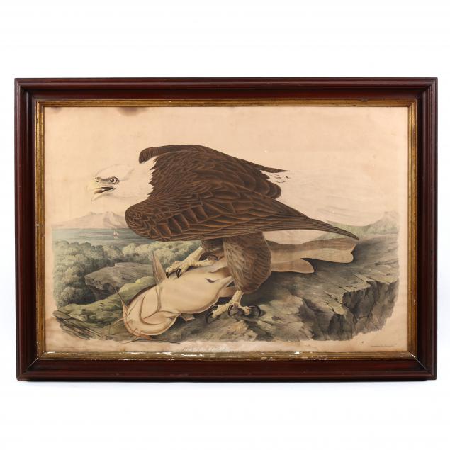after-john-james-audubon-am-1785-1851-i-white-headed-eagle-i