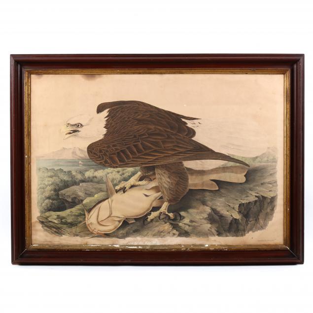 after-john-james-audubon-am-1785-1851-i-white-headed-eagle-i