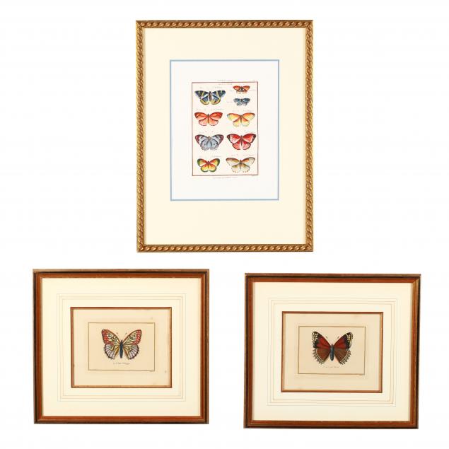 three-framed-butterfly-prints