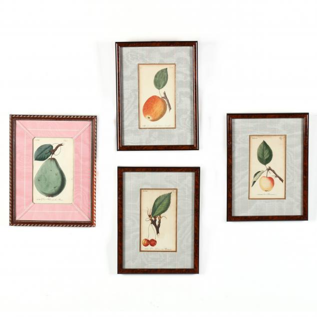 four-antique-german-fruit-engravings