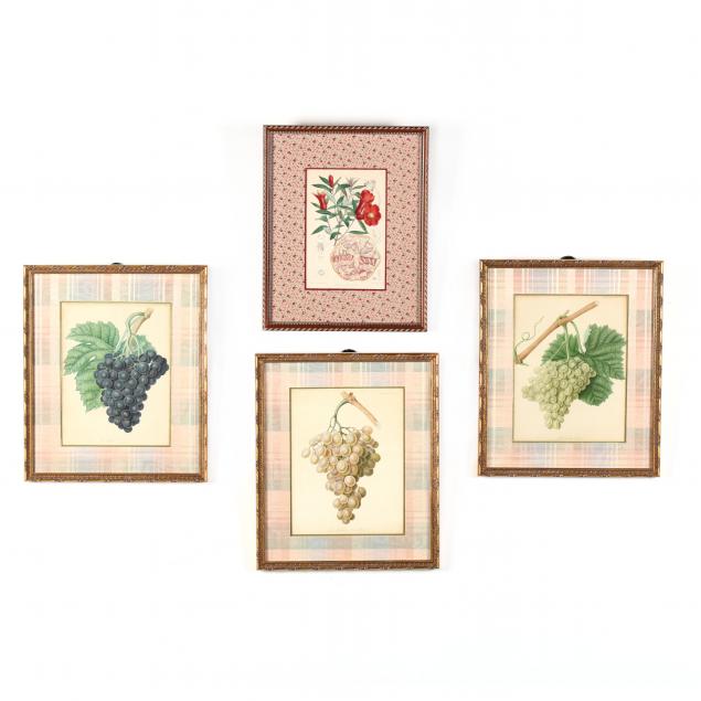 four-antique-fruit-engravings