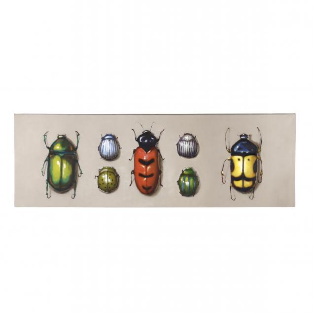 chris-clark-nc-beetle-specimens