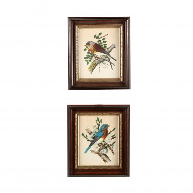 pair-of-framed-bird-prints