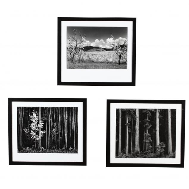 three-contemporary-landscape-photographs