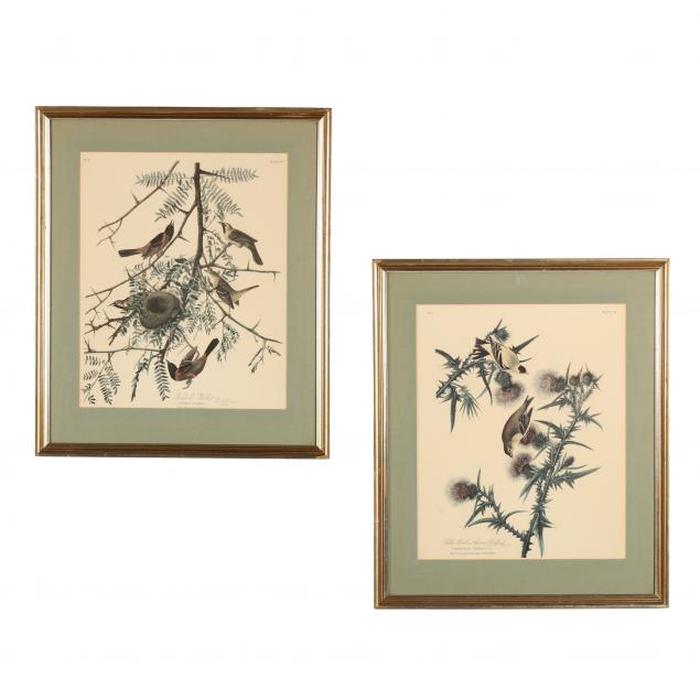 after-john-james-audubon-american-1785-1851-two-ornithological-prints