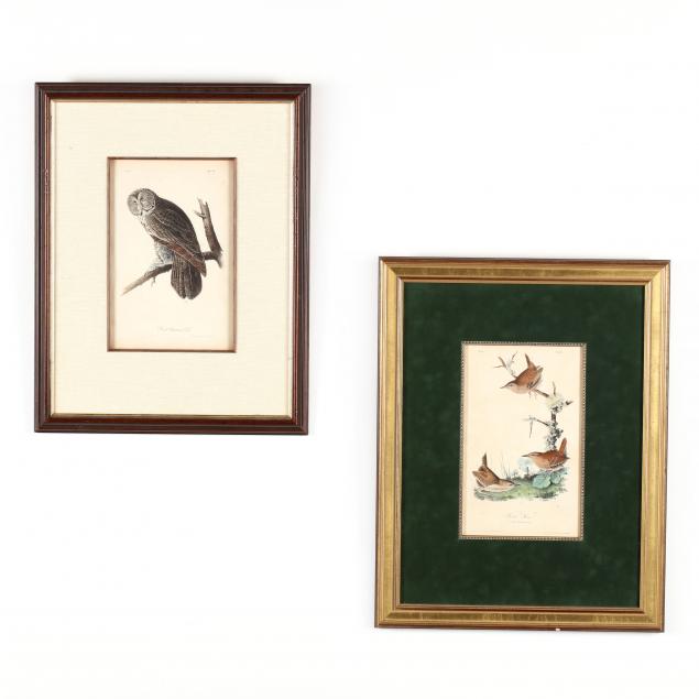 after-john-james-audubon-am-1785-1851-two-lithographs-from-i-birds-of-america-i