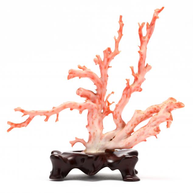 coral-branch-specimen-on-stand