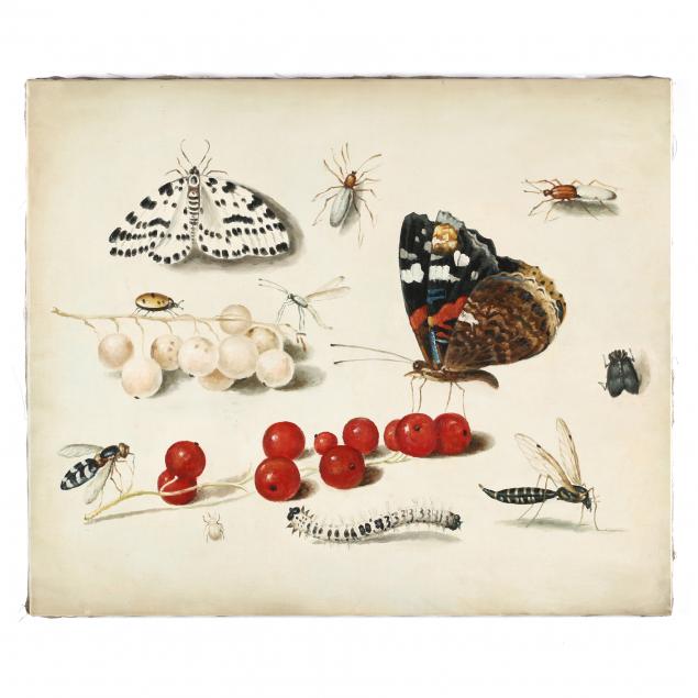 a-contemporary-painting-of-insects-and-berries