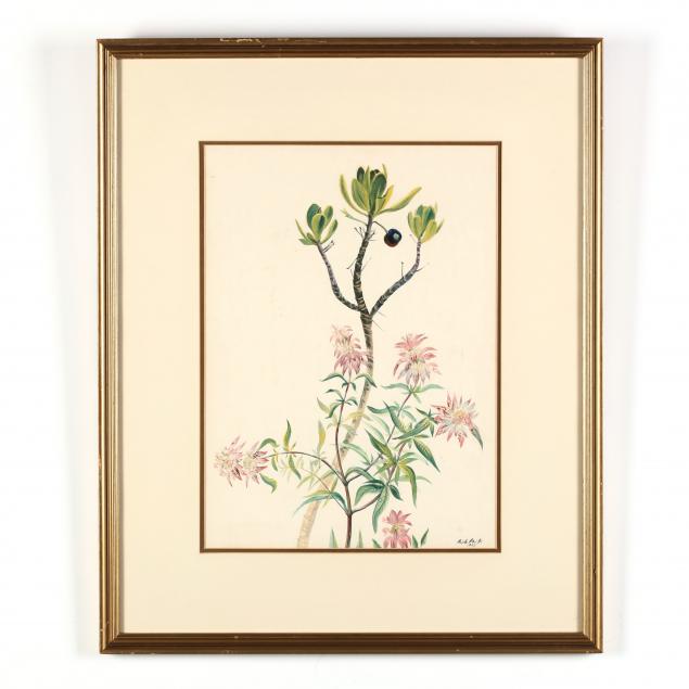 ralph-ray-jr-nc-1920-1952-botanical-watercolor