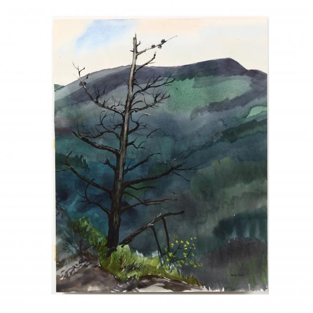philip-moose-nc-1921-2001-i-old-pine-overlooking-linville-gorge-i