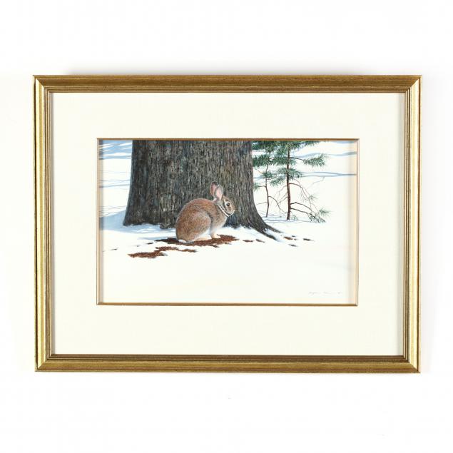 douglas-cave-nc-a-rabbit-in-winter