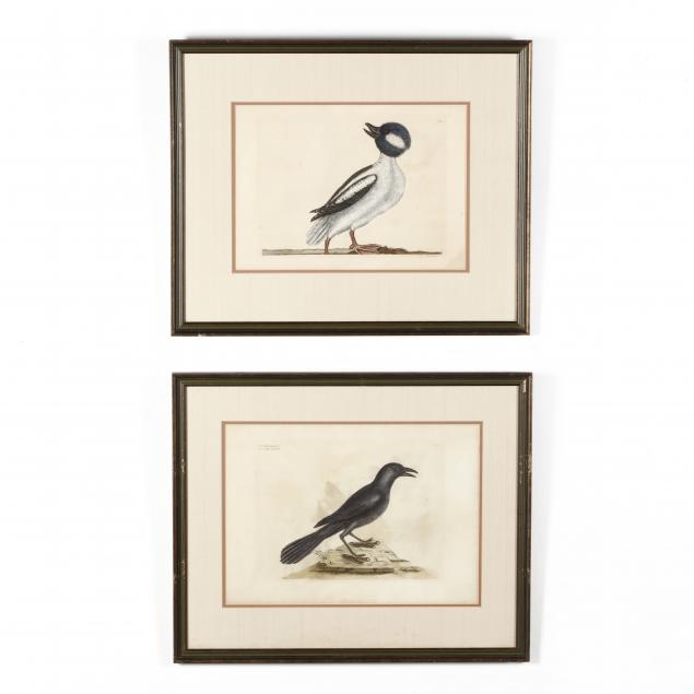 mark-catesby-british-1679-1749-two-prints-from-i-the-natural-history-of-carolina-florida-and-the-bahama-islands-i