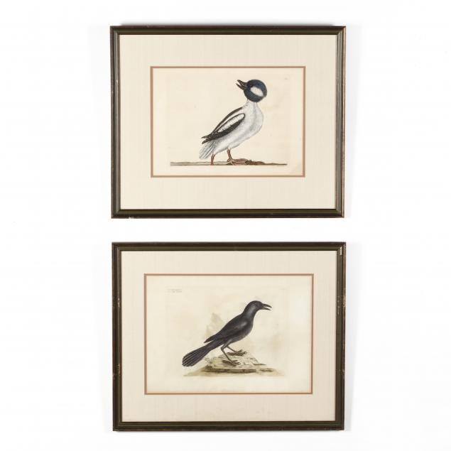 mark-catesby-british-1679-1749-two-prints-from-i-the-natural-history-of-carolina-florida-and-the-bahama-islands-i