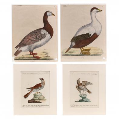 four-antique-ornithological-prints