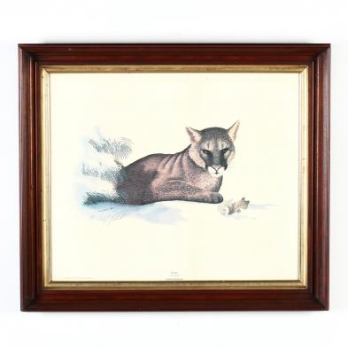 signed-puma-print-by-carl-helrich