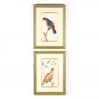 pair-of-framed-parrot-prints
