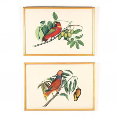 pair-of-parrot-gouaches