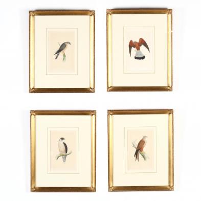 four-ornithological-prints