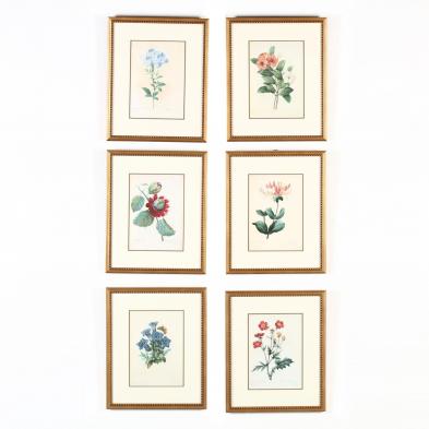 six-framed-floral-prints-after-redoute