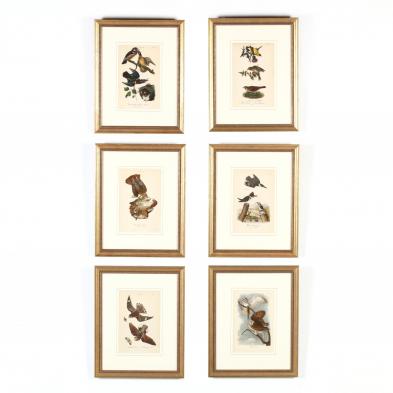 six-framed-ornithological-prints