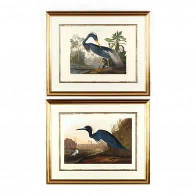 after-john-james-audubon-am-1785-1851-two-large-prints-illustrating-herons