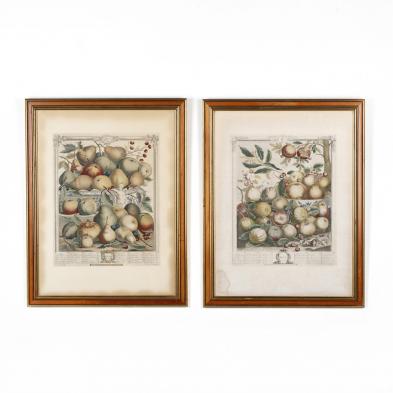 two-framed-prints-after-robert-furber-s-i-twelve-months-of-fruit-i