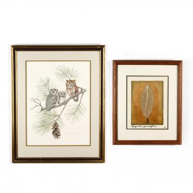 two-framed-nature-prints
