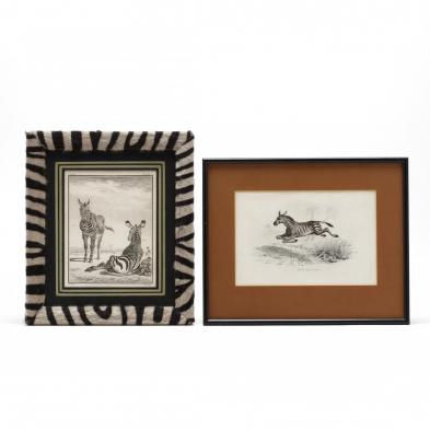 two-antique-zebra-engravings