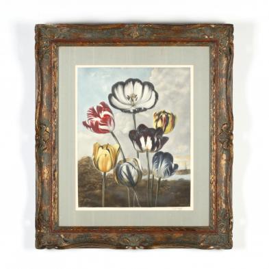 arthur-hogg-british-20th-century-i-tulips-i