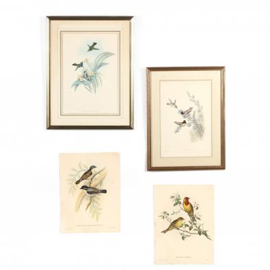 four-ornithological-prints