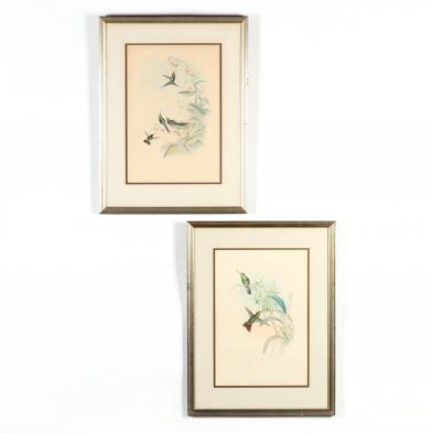 two-gould-richter-hummingbird-lithographs
