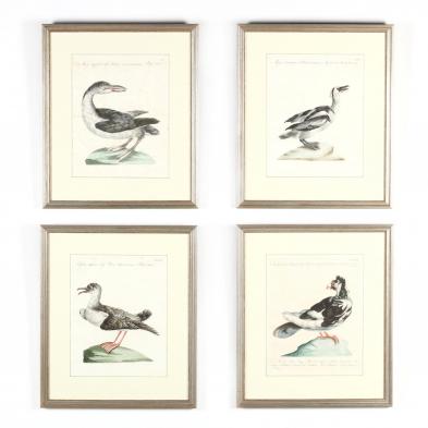 saverio-manetti-italian-1723-1784-four-ornithological-prints