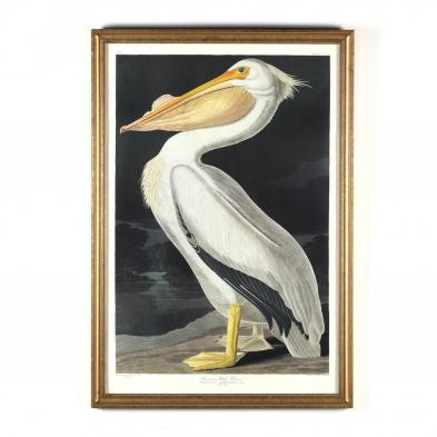 after-john-james-audubon-amerian-1785-1851-american-white-pelican