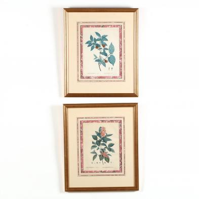 two-floral-engravings-after-redoute