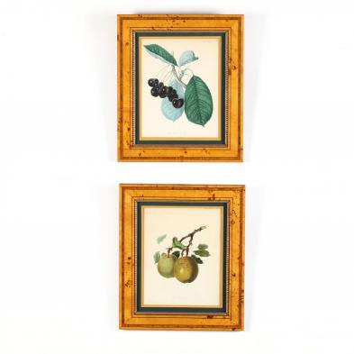 pair-of-19th-century-framed-fruit-chromolithographs