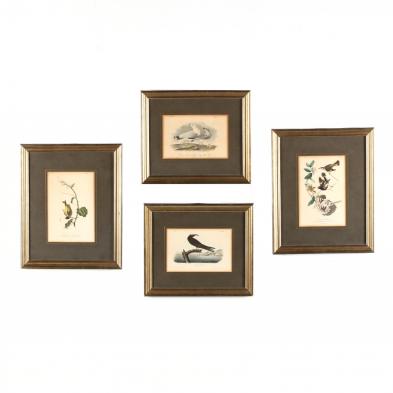 after-john-james-audubon-american-1785-1851-four-ornithological-prints