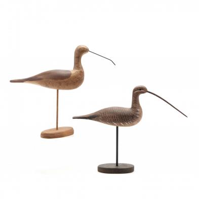 two-large-standing-shorebirds