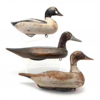 three-decoys-mcgaw-pintail-and-hen-and-one-other