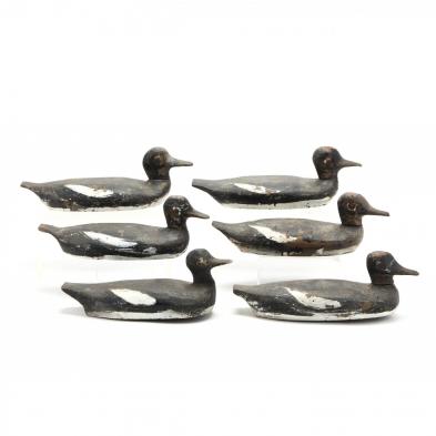 a-group-of-six-bluebill-working-decoys