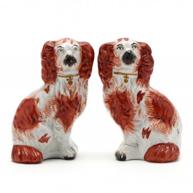 a-pair-of-diminutive-king-charles-staffordshire-spaniels