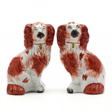 a-pair-of-diminutive-king-charles-staffordshire-spaniels