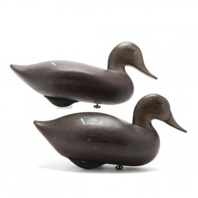 a-pair-of-green-wing-teal-decoys-r-madison-mitchell